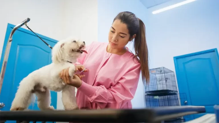 Bé Tý – Phát hiện tim bẩm sinh sau khám định kỳ